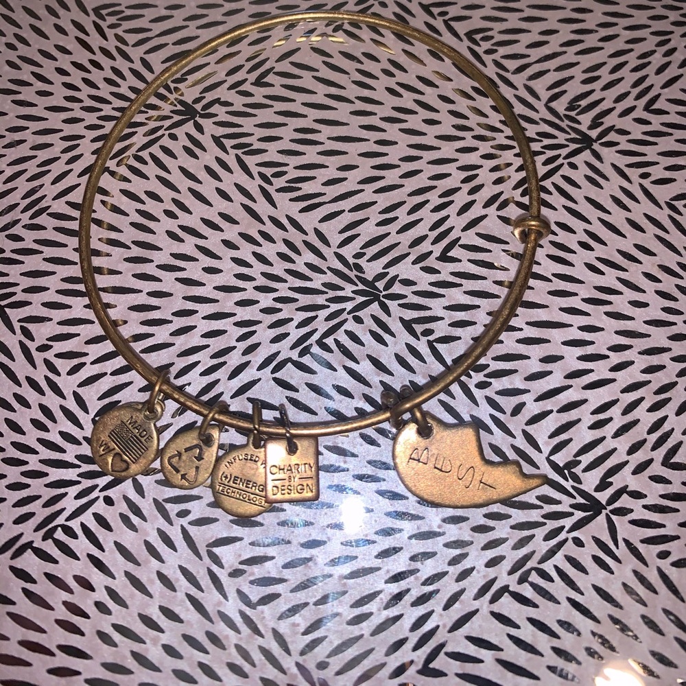 Alex and Ani Bangle Bracelet